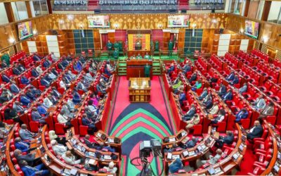 Kenyan MPs Advocate for Diaspora Engagement: Policy Shifts in the National Assembly